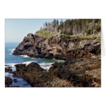 Petite réserve nationale de Manan, île croisée Carte