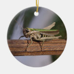 Petite sauterelle verte ornement de noël