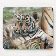Petits animaux de tigre tapis de souris
