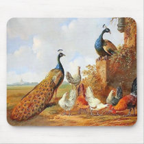 Pfaus und Hühner Mousepad