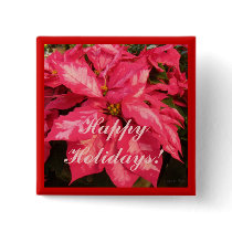 Pfefferminz-rosa Poinsettia