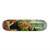 Pflanzen im Gewächshaus Individuelle Skatedecks