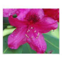 Photo de fleur de goutte de pluie