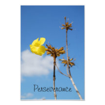 Photo de persévérance