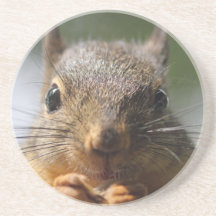 Photo de sourire d'écureuil mignon dessous de verre