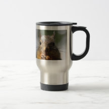 Photo de sourire d'écureuil mignon mugs