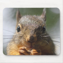 Photo de sourire d'écureuil mignon tapis de souris