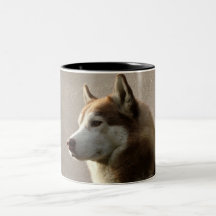 Photographie de chien de Malamute d'Alaska Tasses À Café