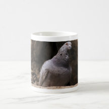 Pigeon au mur mugs à café