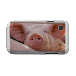 Tierische Samsung Galaxy S Hüllen