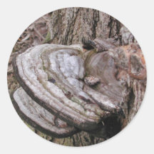Pilz-Aufkleber