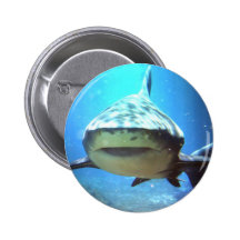 Pin rond de requin badge avec épingle