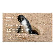 Pinguin-Vogel-Tier Visitenkarten
