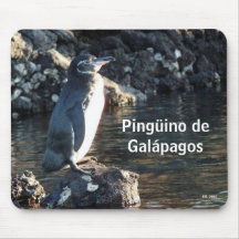 Pinguino De Galapagos Mousepad