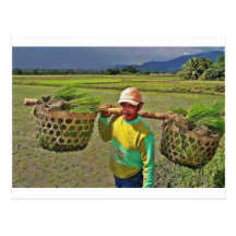 Pinoy1.jpg Carte Postale