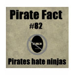 Piraten-Tatsache # 82 Piratenhaß ninjas