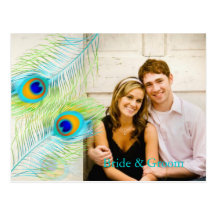 PixDezines peacock/DIY Ereignis+Hintergrundfarbe Postkarten