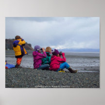 Plakat-/Shorebird-KlimaBildung