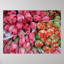 PLAKAT - Tulpen am Markt Lyon Frankreich