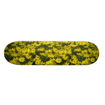 Planche à roulettes de fleur de Coreopsis