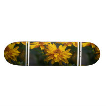 Planche à roulettes de Heliopsis