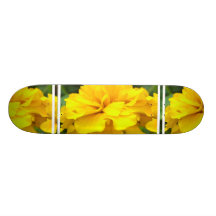 Planche à roulettes de souci de pot