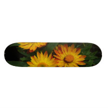 Planche à roulettes de Strawflowers