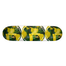 Planche à roulettes d'iris jaune