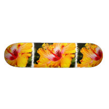 Planche à roulettes orange de ketmie