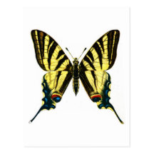 Podalirius d'Iphiclides Cartes Postales