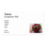 Poinsettia-Visitenkarte