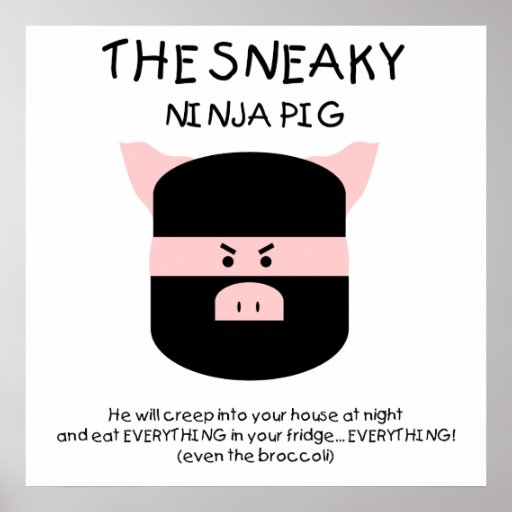 Porc de Ninja ! Affiches