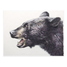 Portrait de côté d'ours noir cartes postales