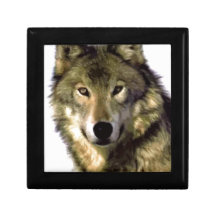 Portrait de loup boîte à souvenirs
