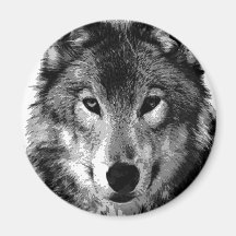Portrait de loup noir et blanc magnets pour réfrigérateur