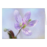 Portrait - fleur de beauté de ressort carte de vœux