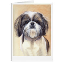 Porträt Shih Tzu gemalt in der Wasserfarbe Karten