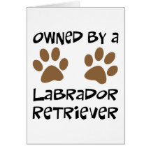 Possédé par labrador retriever cartes