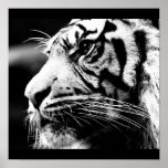 Poster-Animals-40