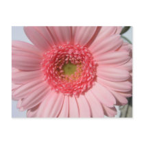 Postkarte "Blume"