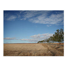 Postkarte des camino
