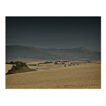 Postkarte des camino