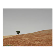 Postkarte des camino