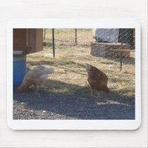 Poulets Tapis De Souris