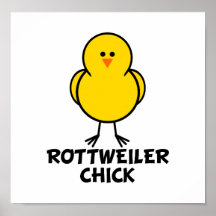 Poussin de rottweiler poster