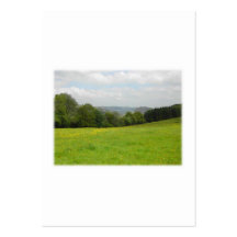 Pré vert. Paysage de campagne. Coutume Cartes De Visite Personnelles