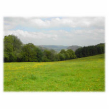 Pré vert. Paysage de campagne. Coutume Photo En Relief