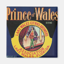 Prinz von Wales-Magneten
