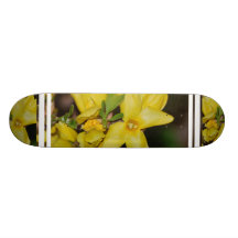 Produit de personnaliser plateaux de skateboards customisés