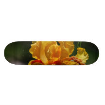 Produit de personnaliser plateau de skate
